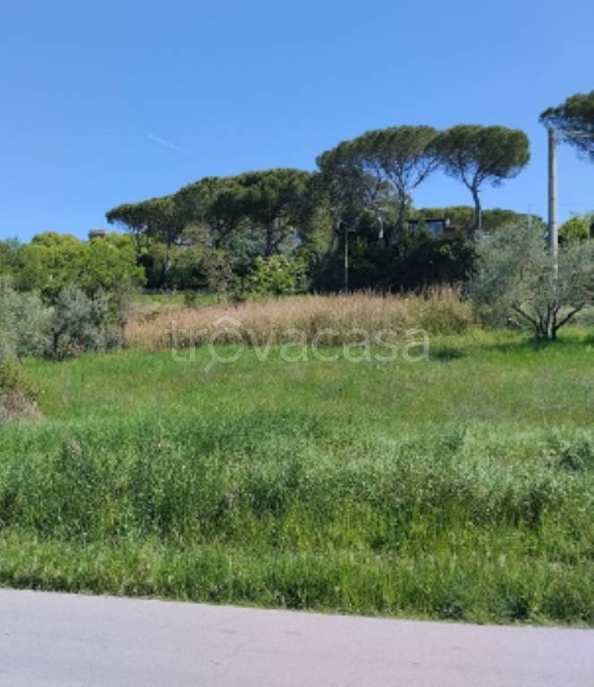 immagine annuncio 2 di 8