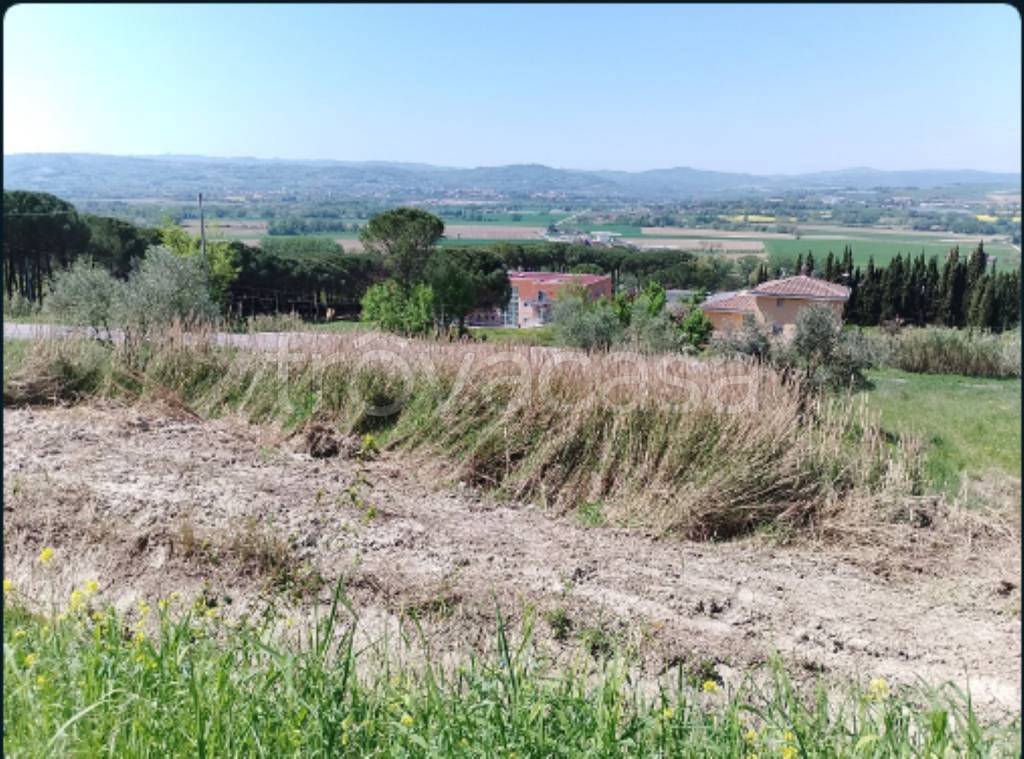 immagine annuncio 3 di 8