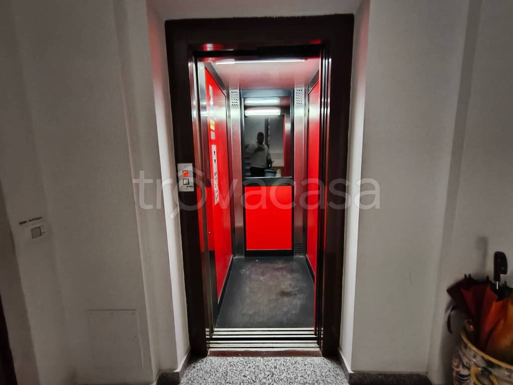 immagine annuncio 2 di 12