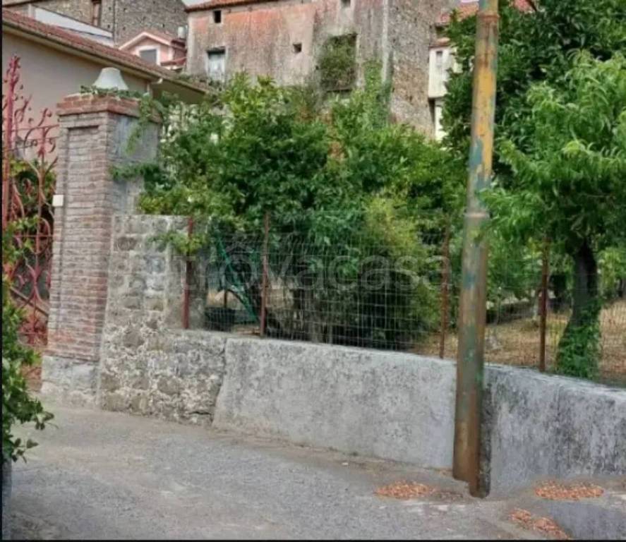 immagine annuncio 2 di 6