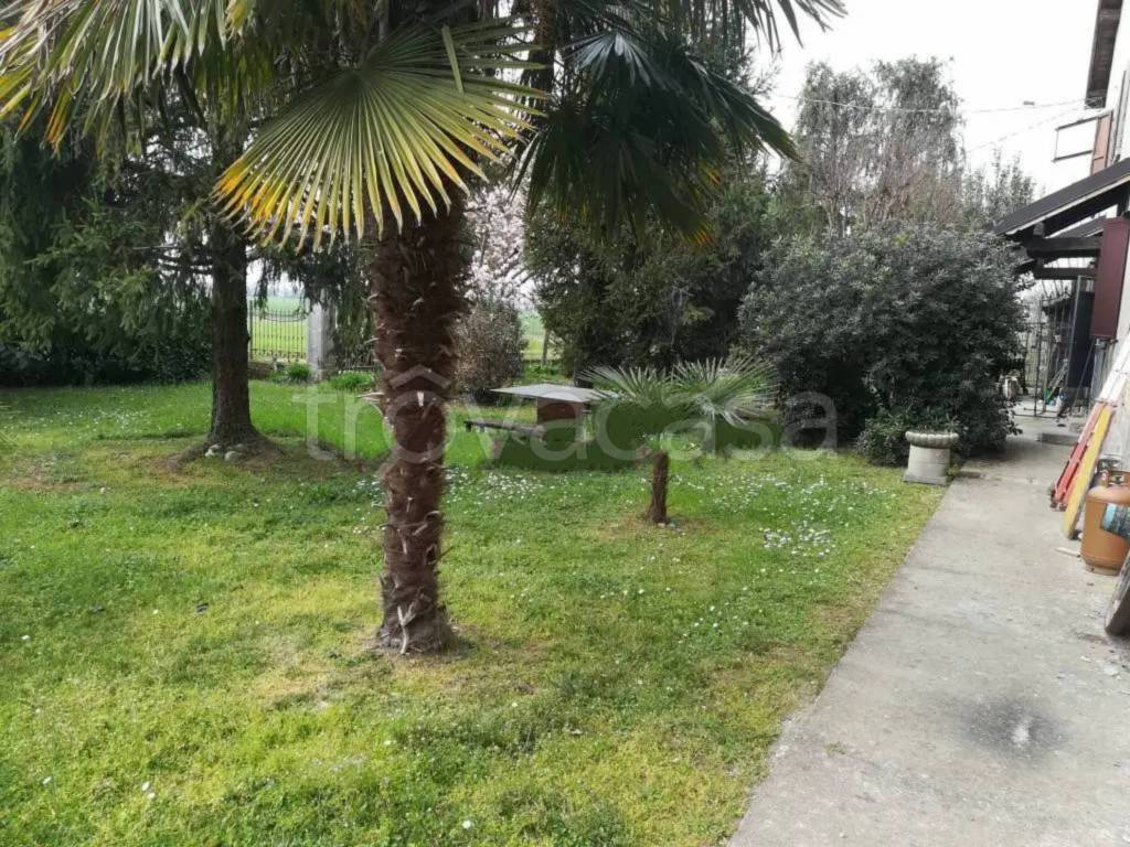 immagine annuncio 3 di 13