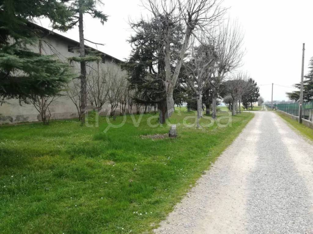 immagine annuncio 8 di 13