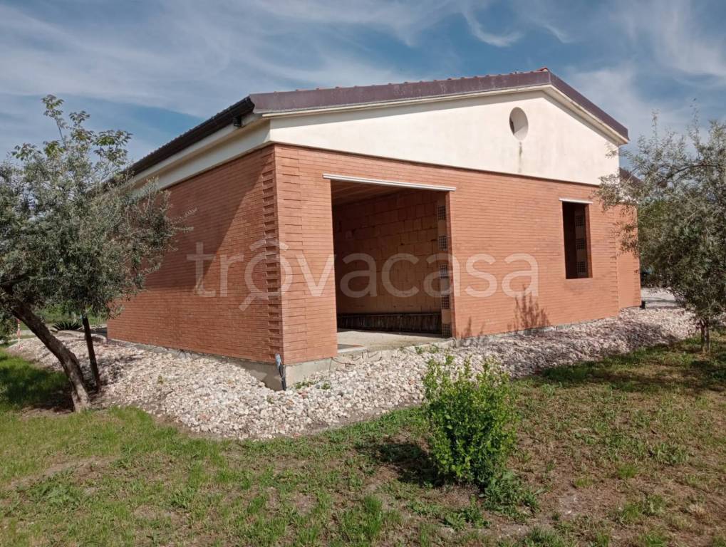 immagine annuncio 6 di 12