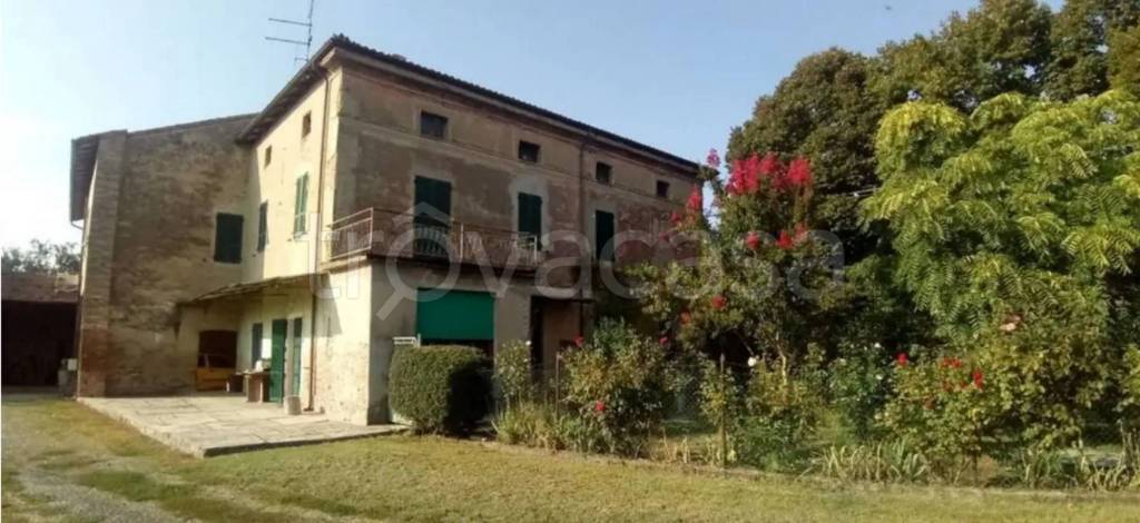 immagine annuncio 3 di 11