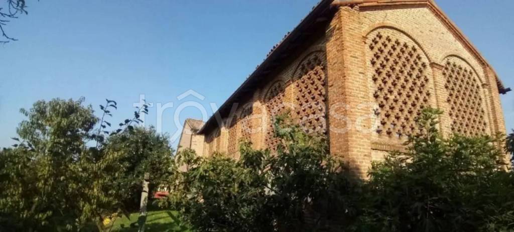 immagine annuncio 5 di 11