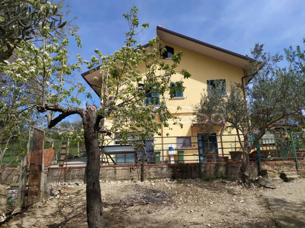 immagine annuncio 1 di 13