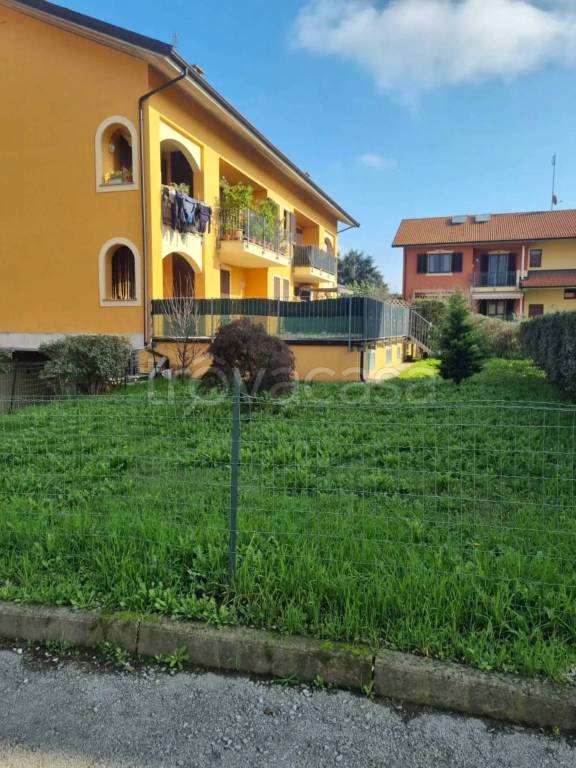 immagine annuncio 12 di 15