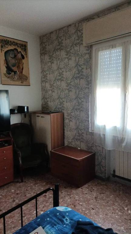 immagine annuncio 6 di 12
