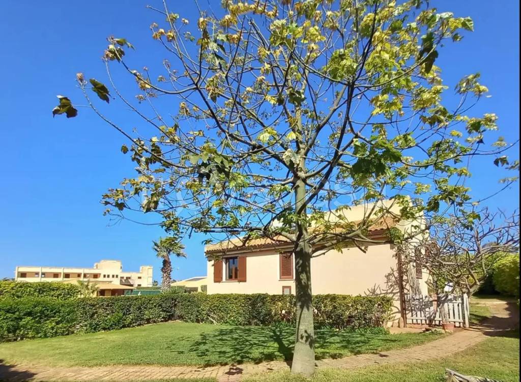 immagine annuncio 3 di 6