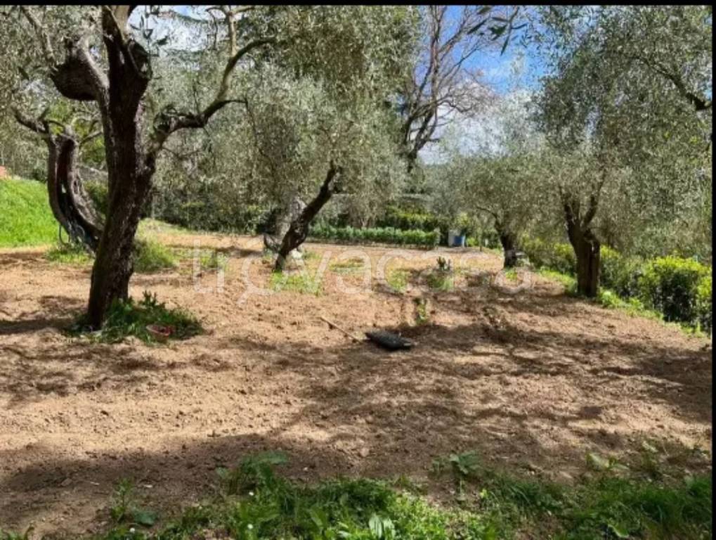 immagine annuncio 9 di 14