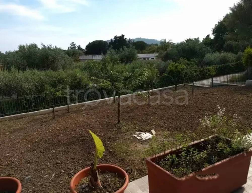 immagine annuncio 6 di 8