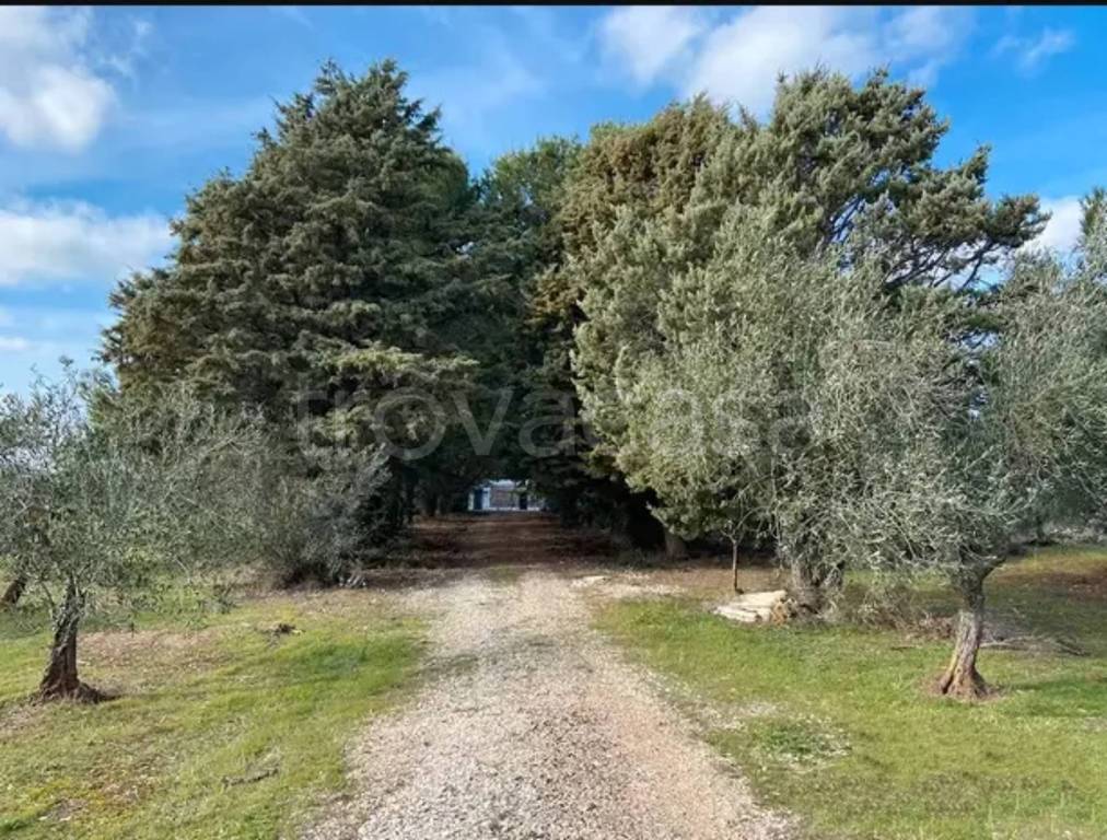 immagine annuncio 5 di 6