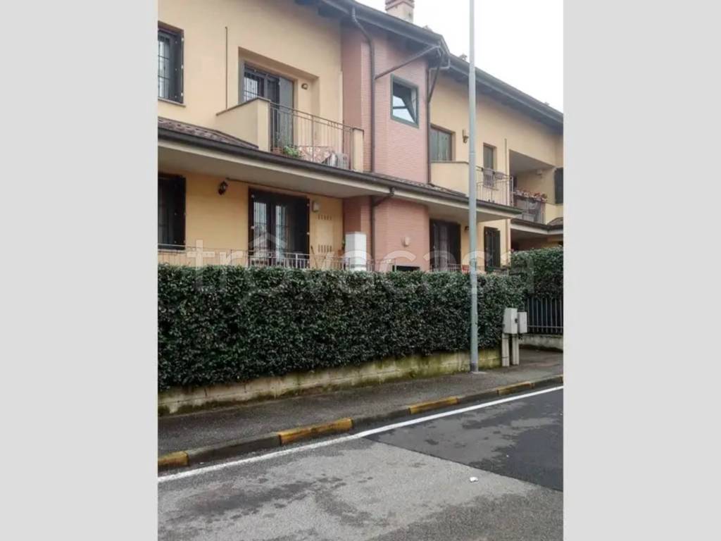 immagine annuncio 1 di 13