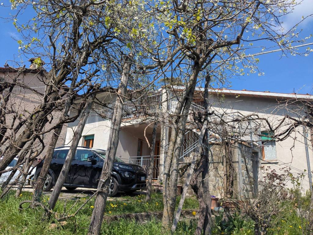 immagine annuncio 3 di 14