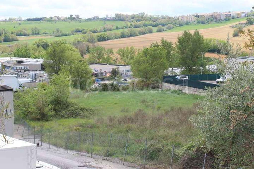 immagine annuncio 3 di 12