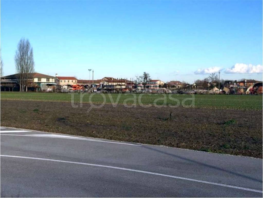 immagine annuncio 8 di 11