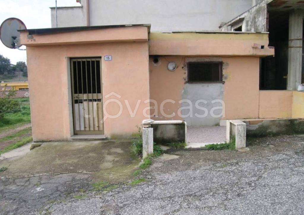immagine annuncio 13 di 15
