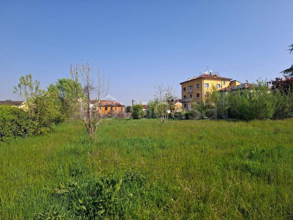 immagine annuncio 5 di 9