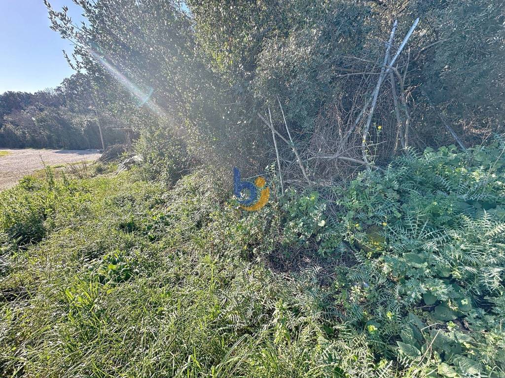 immagine annuncio 5 di 12