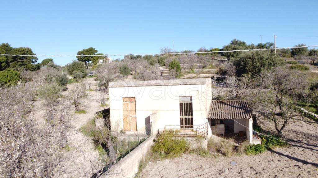 immagine annuncio 2 di 13