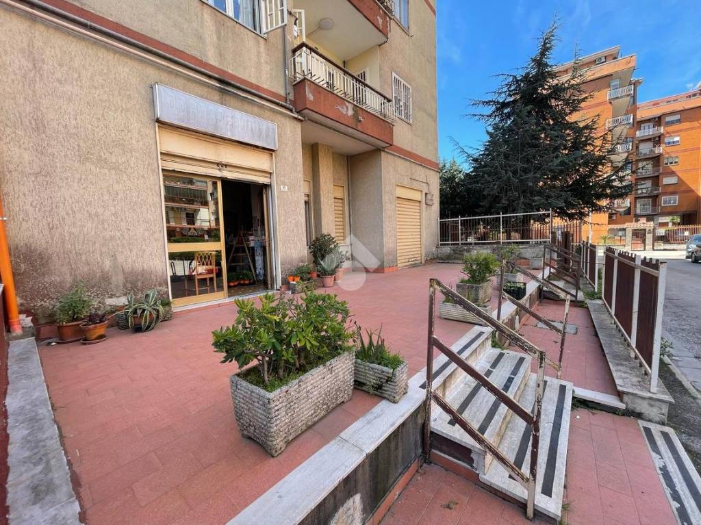 immagine annuncio 1 di 8