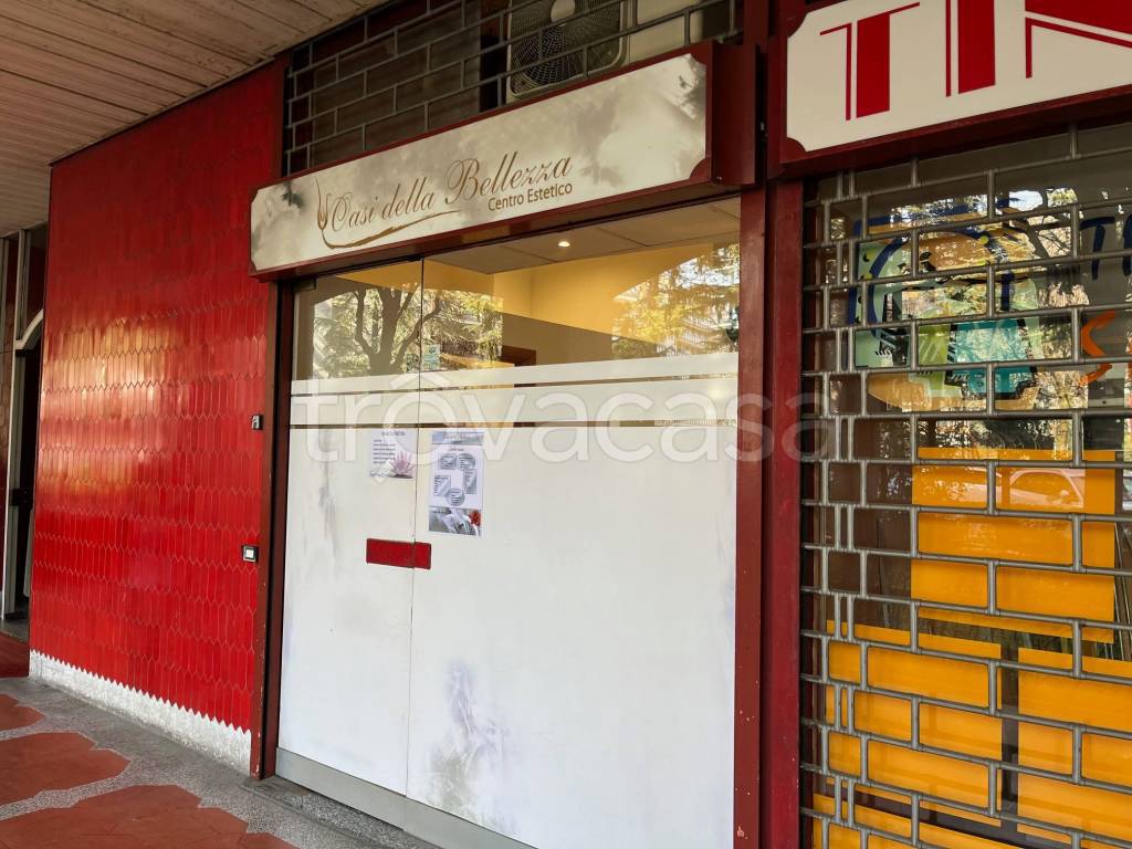 immagine annuncio 11 di 12