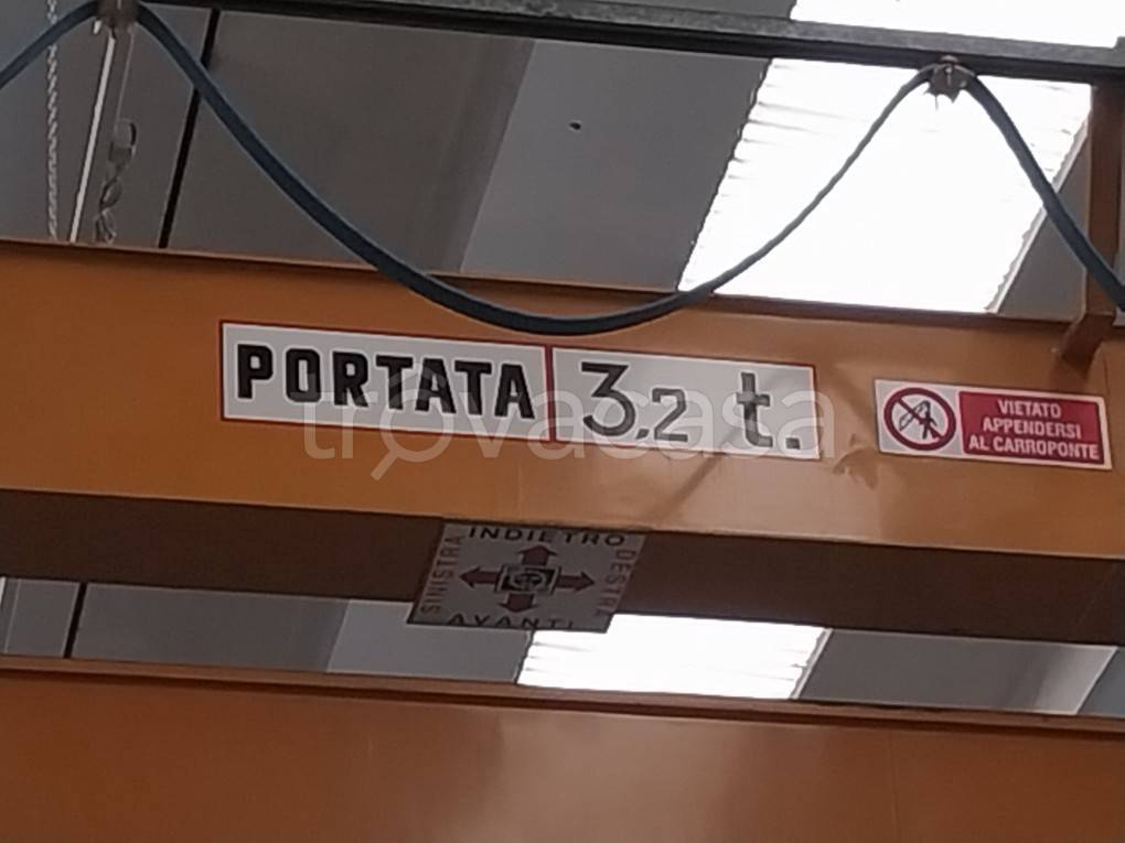 immagine annuncio 7 di 13