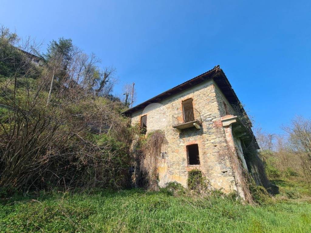 immagine annuncio 3 di 11
