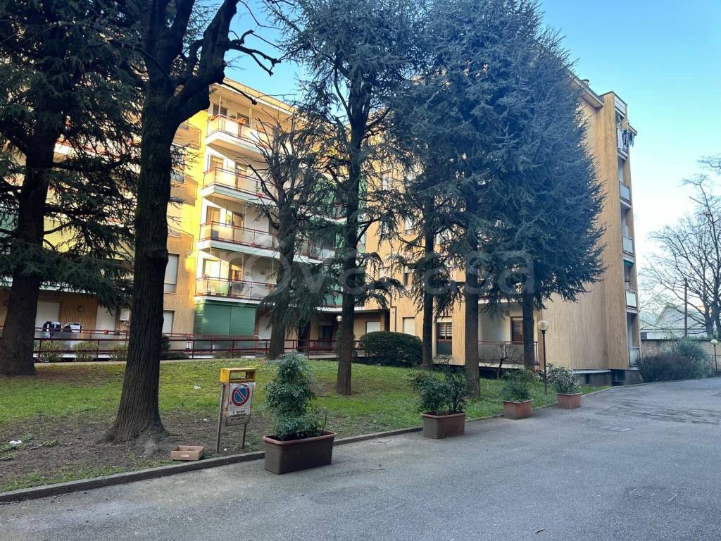 immagine annuncio 5 di 15