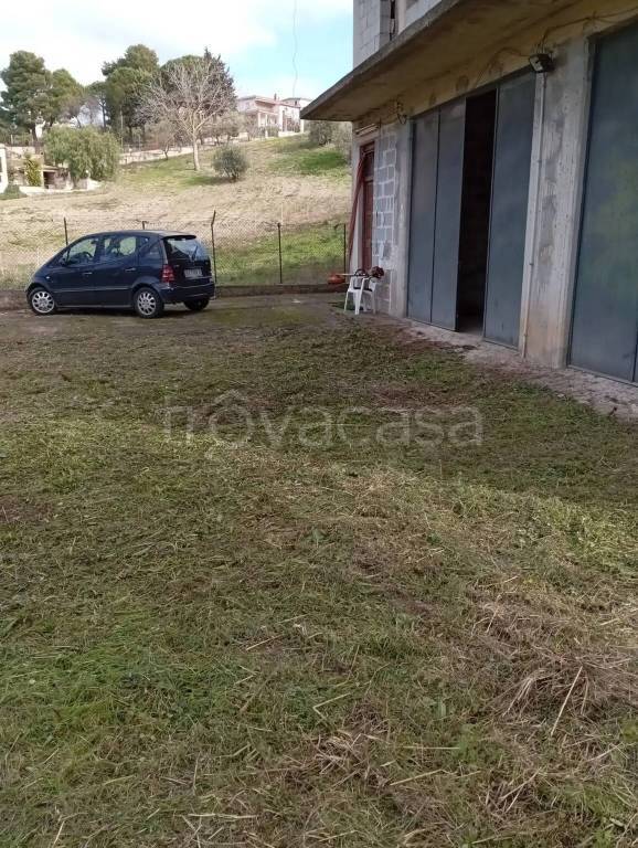 immagine annuncio 1 di 8