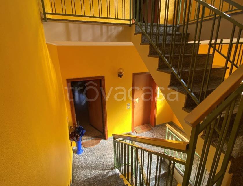 immagine annuncio 6 di 12