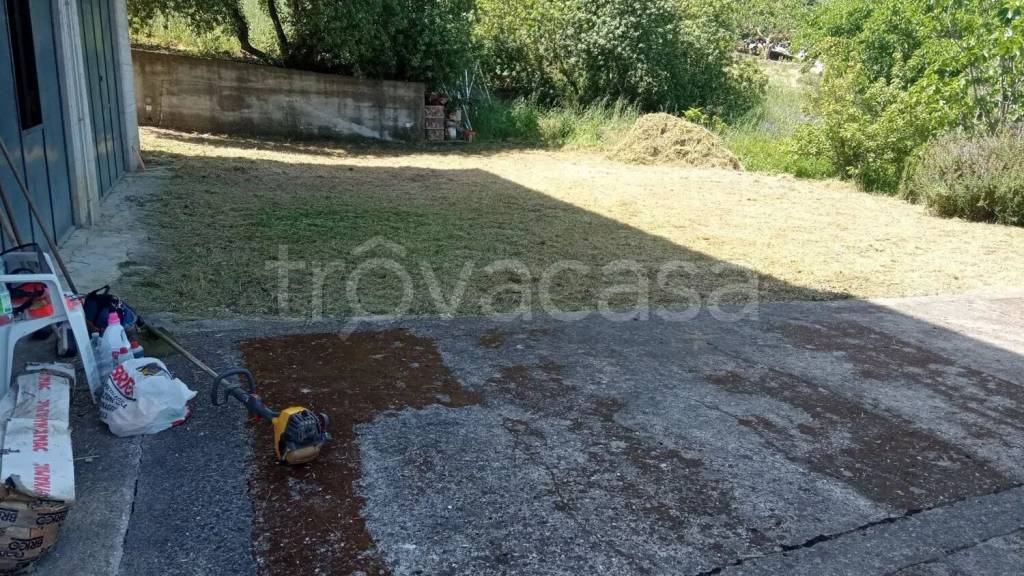 immagine annuncio 7 di 8