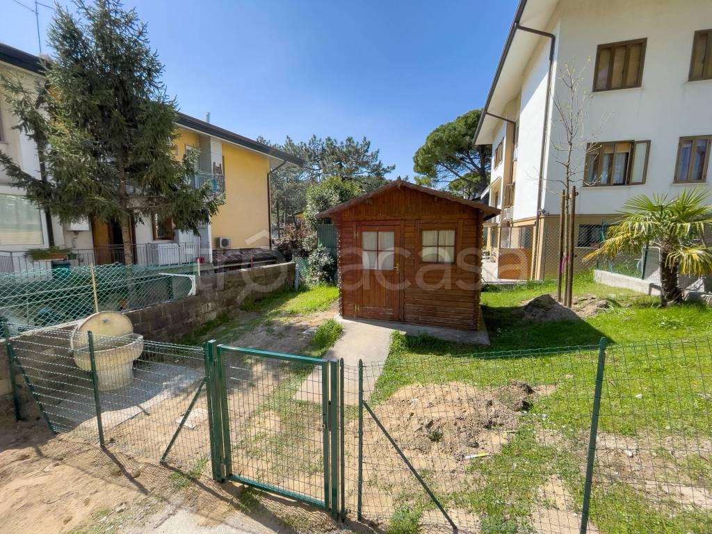 immagine annuncio 11 di 12