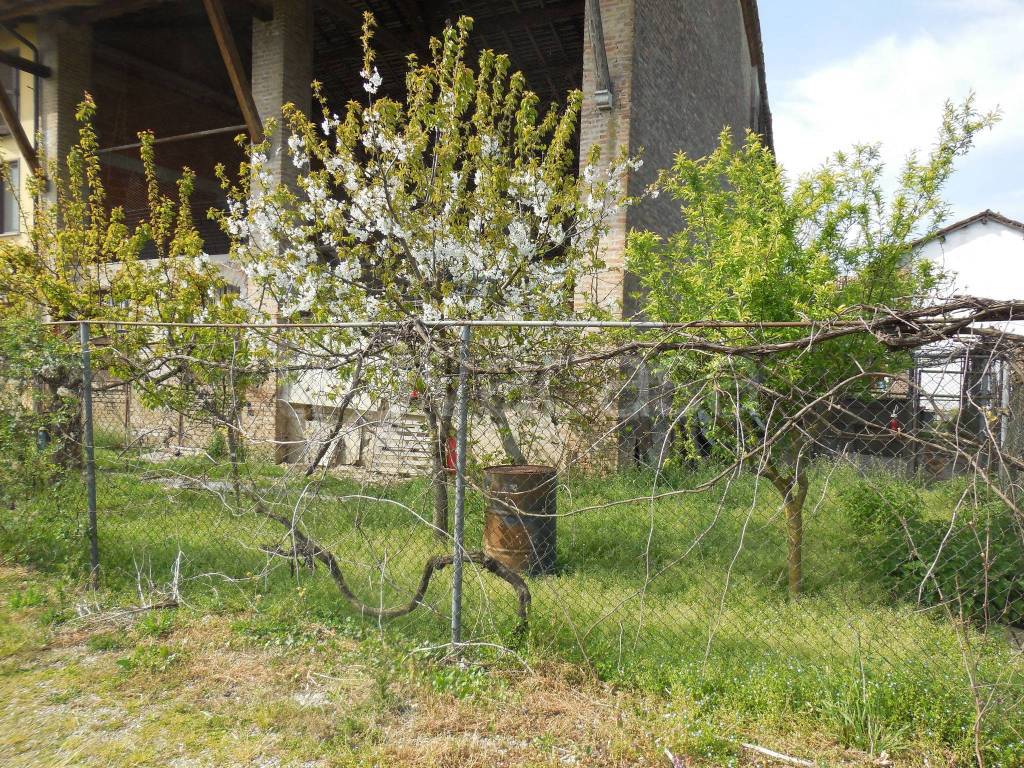 immagine annuncio 7 di 9