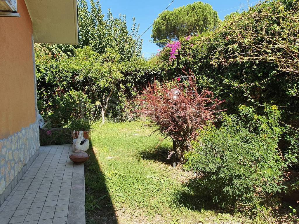immagine annuncio 5 di 6