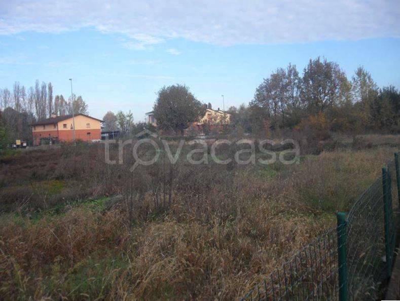 immagine annuncio 4 di 7