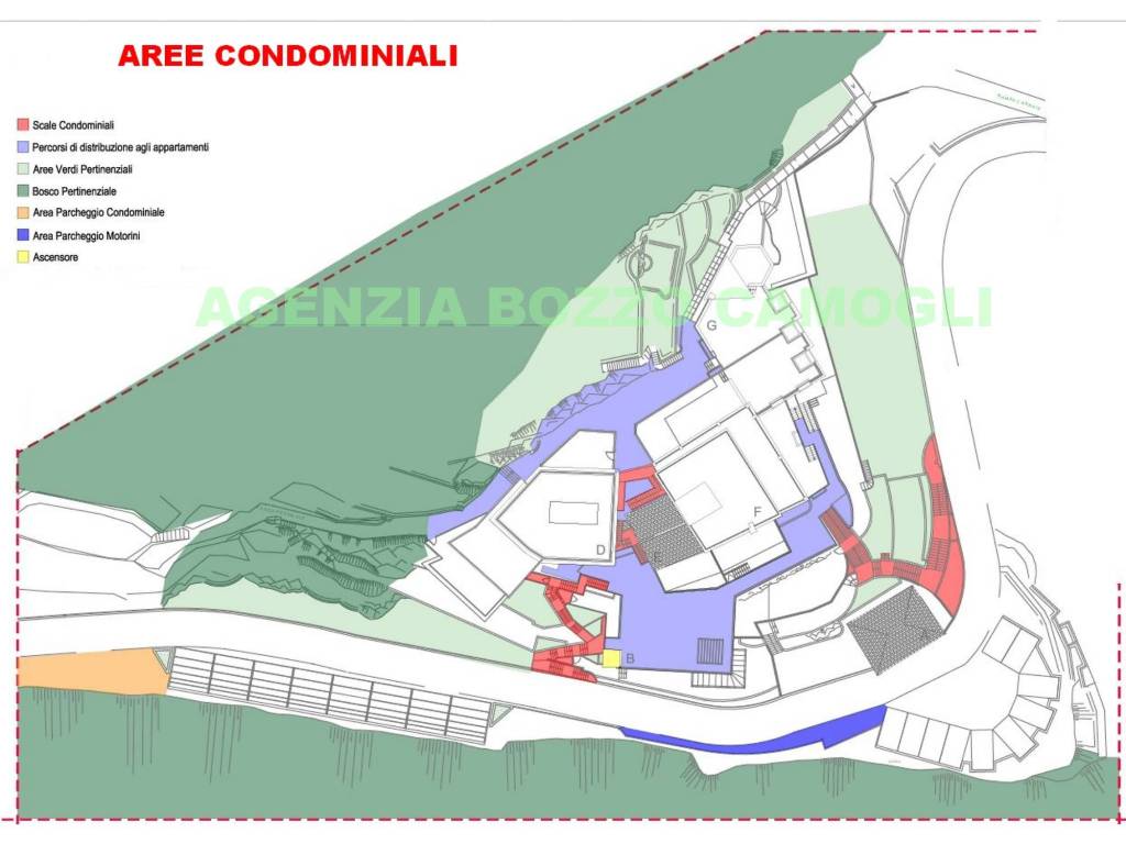 immagine annuncio 6 di 12