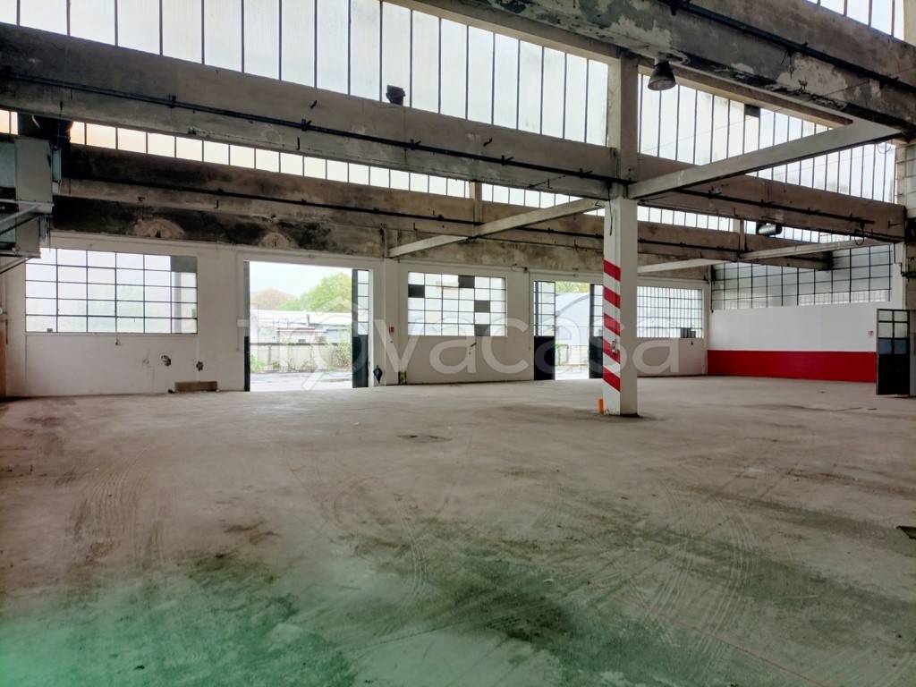 immagine annuncio 9 di 15
