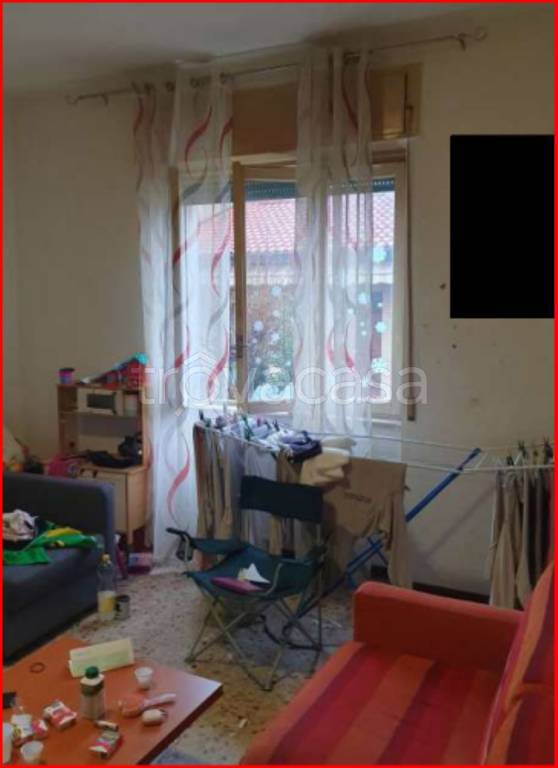 immagine annuncio 7 di 14