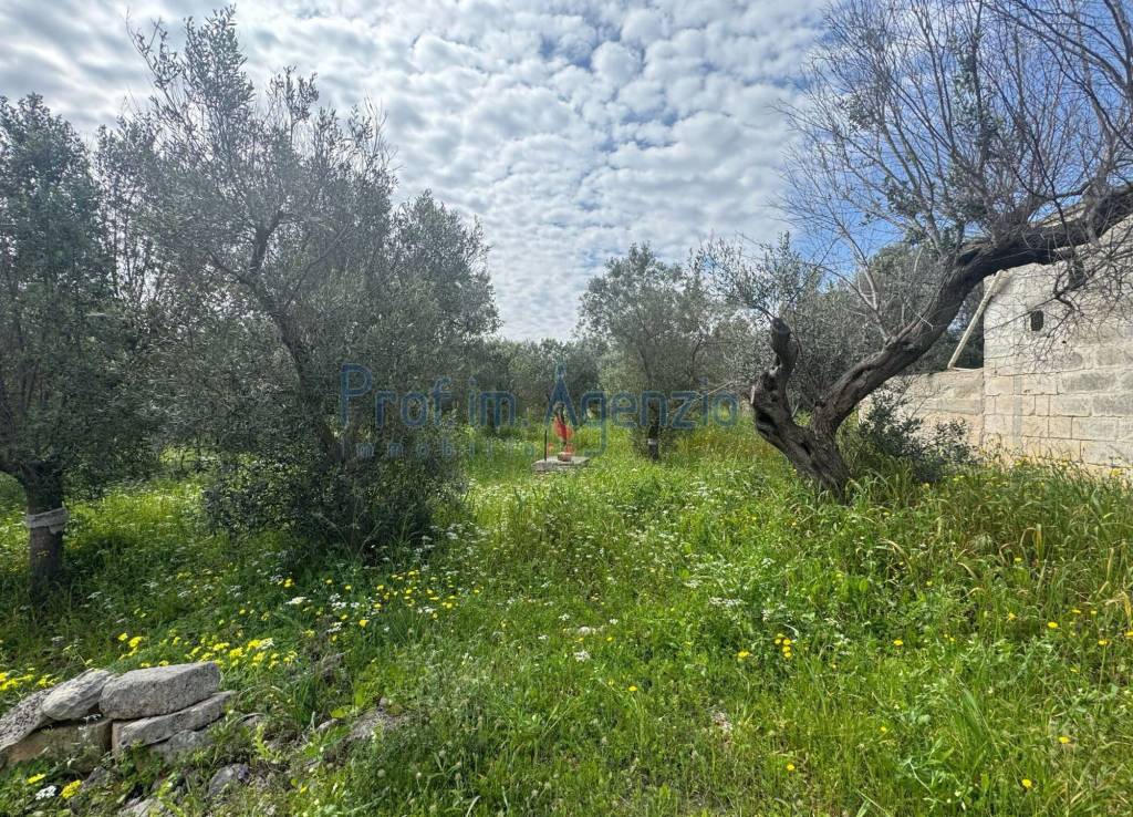 immagine annuncio 5 di 13