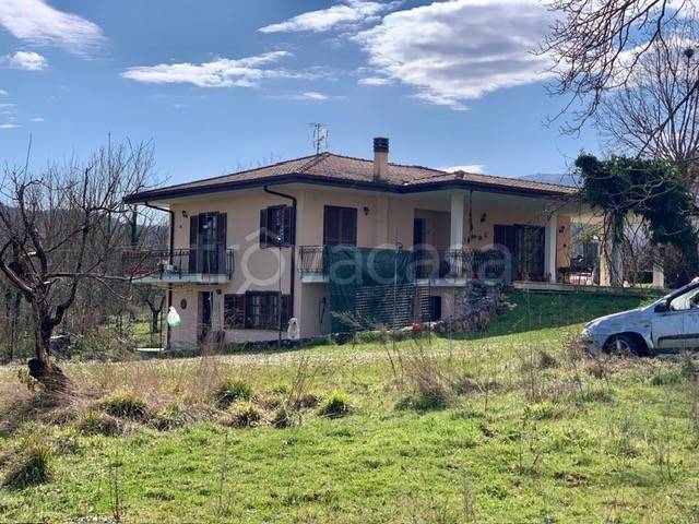 immagine annuncio 4 di 12