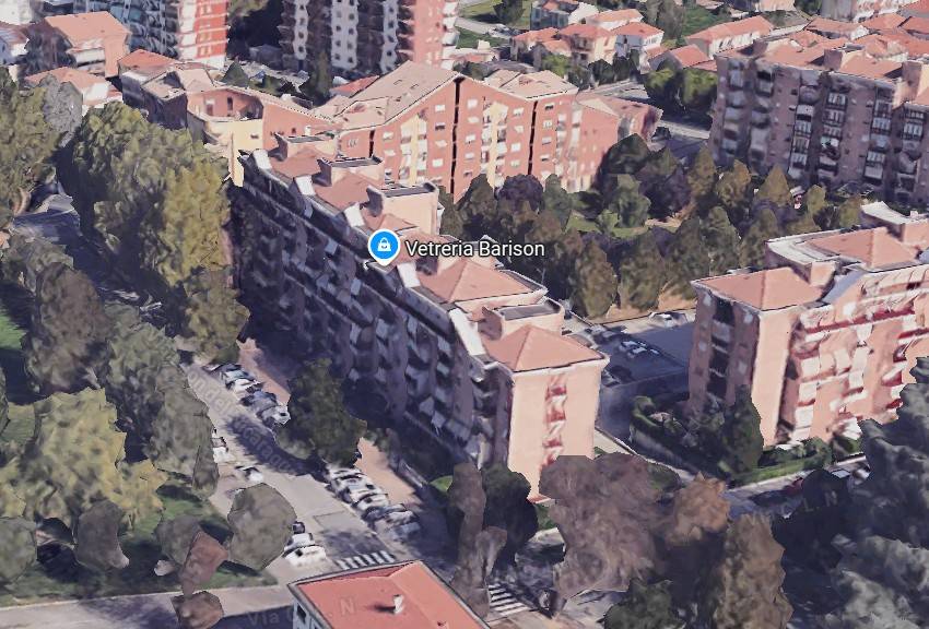 immagine annuncio 3 di 14