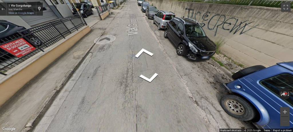 immagine annuncio 11 di 13