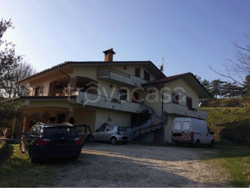 immagine annuncio 3 di 12