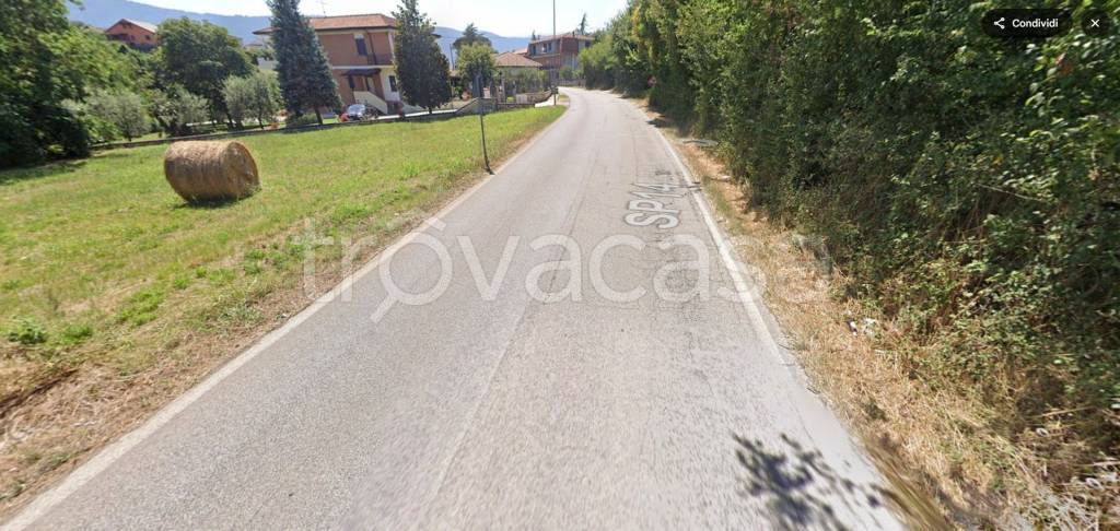 immagine annuncio 4 di 12