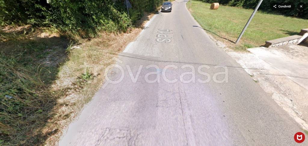 immagine annuncio 8 di 12