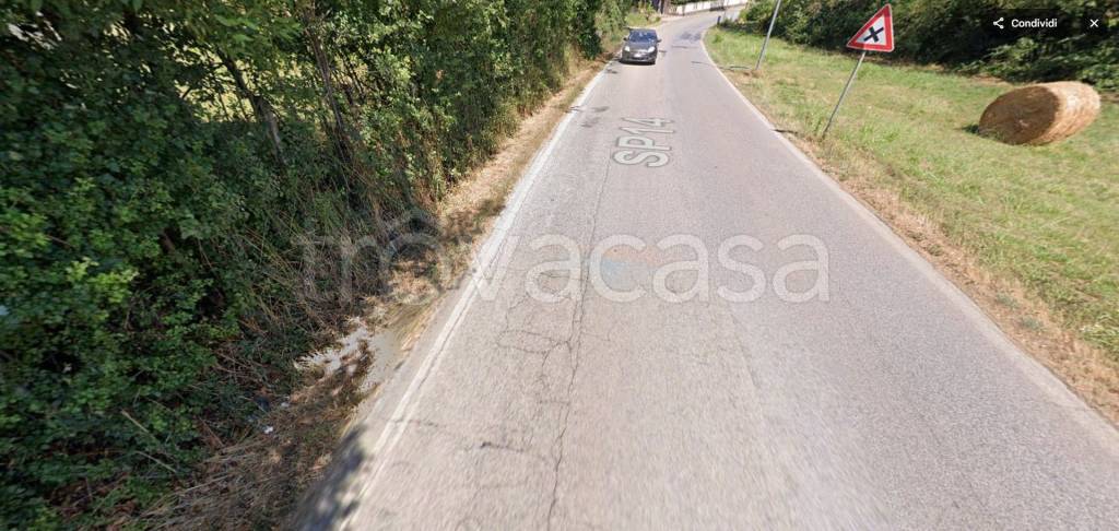 immagine annuncio 9 di 12