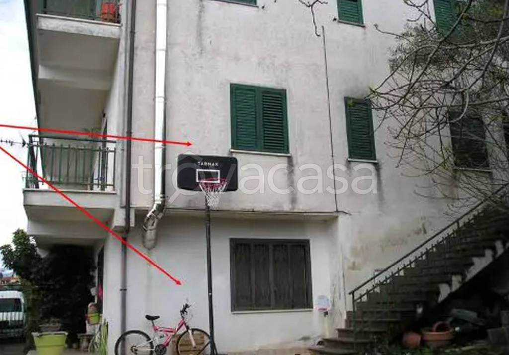 immagine annuncio 3 di 11