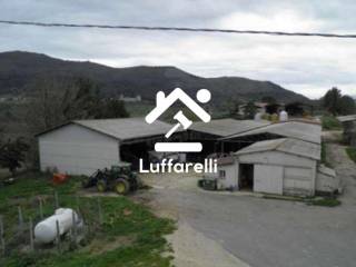 Terreno agricolo all'asta a castelnuovo di farfa vocabolo collespadone