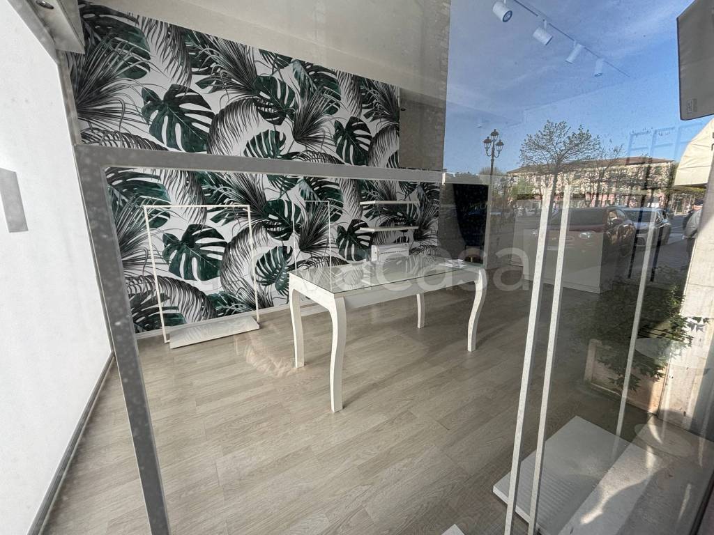 immagine annuncio 5 di 6